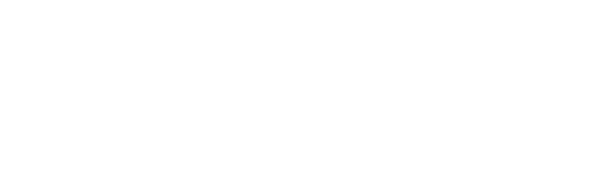 area30 Logo negativ